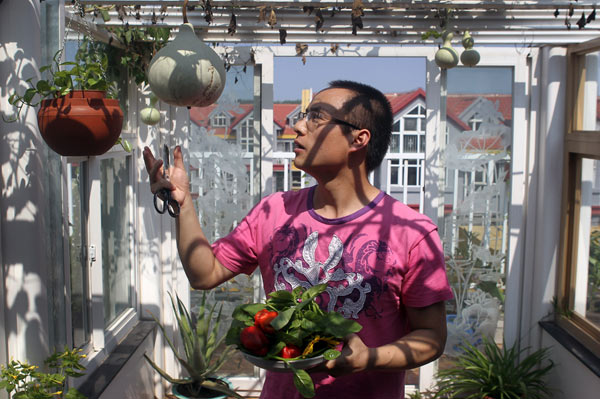 Green fingers and green houses