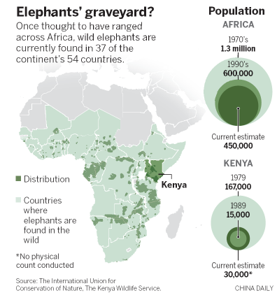 Chinese 'ambassadors' shine spotlight on bloody ivory trade