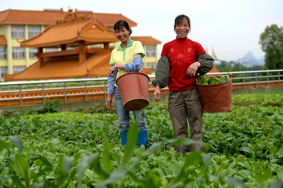 Roof garden in Liuzhou