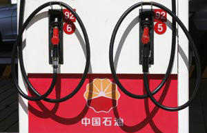 PetroChina on track to beat 2015 shale target in Sichuan