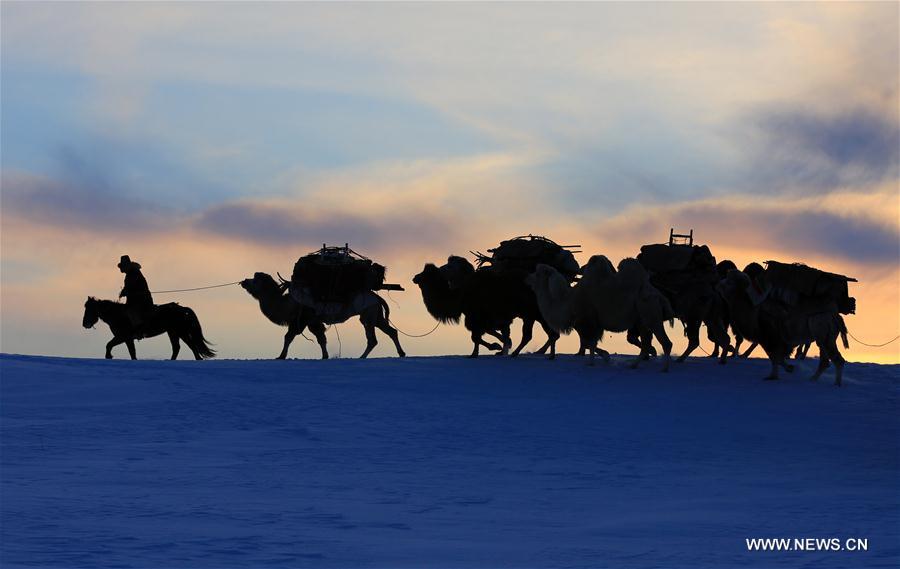 Daily life of herdsmen in Xinjiang's Altay