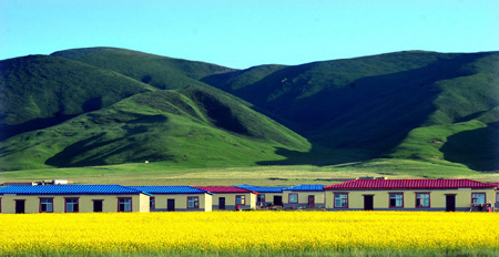 Mirror-like Qinghai Lake attracts thousands of tourists