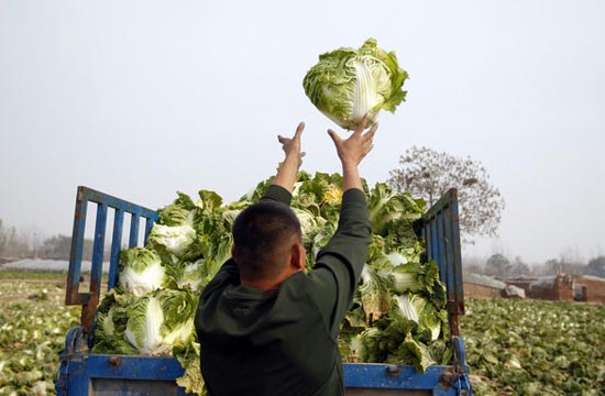 Company lends hands to local farmers