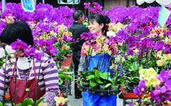 Small town grows thanks to flowers