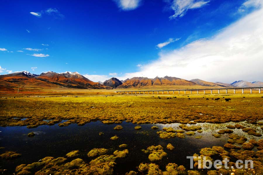 Transportation in Tibet gradually improving