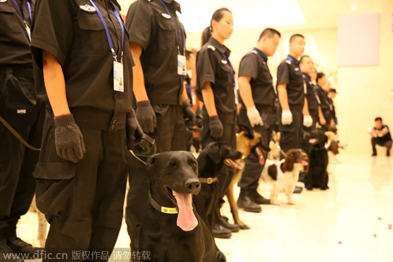 Patrol dogs ready for Davos security inspection