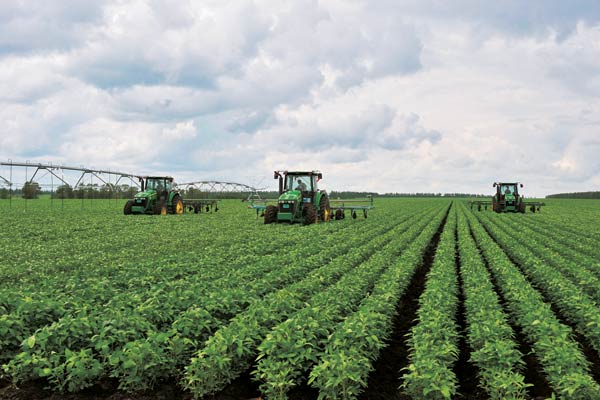 Heilongjiang's farms turn to 'green'