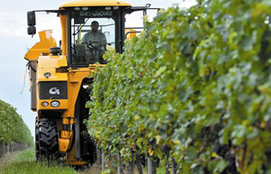 Private winery draws investors' strong interest