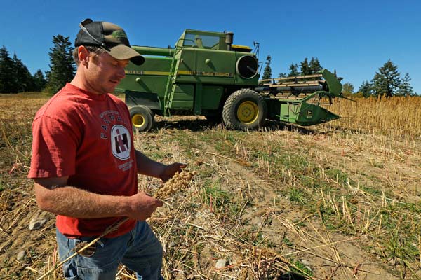 Rice deal opens up huge market