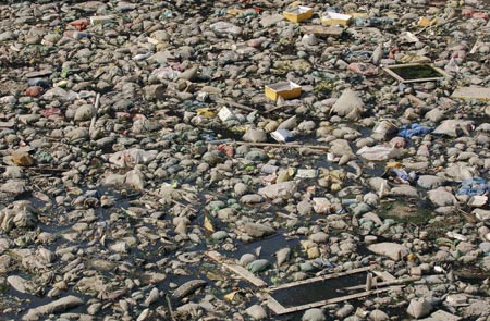 Rubbish floats on a river crossing the city of Hefei, east China's Anhui province, November 9, 2006. China's pollution problems have damaged 10 million hectares, or one tenth, of the country's arable land, said the environment watchdog Tuesday as it called for expanding grass- roots monitoring staff in the rural areas, Xinhua News Agency reported. 