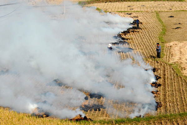 Burning straw creates heavy fog