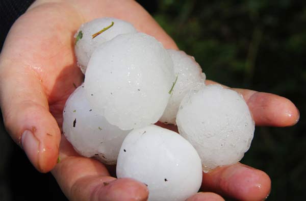 Hailstorms damage thousands of SW China homes