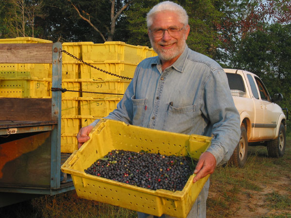 US grower helps to boost berry industry in China