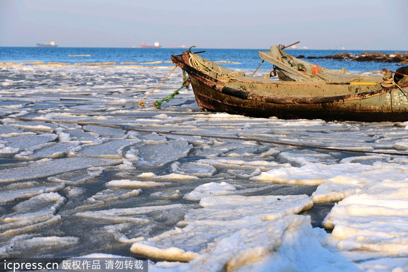 Sea of ice along China's east coast