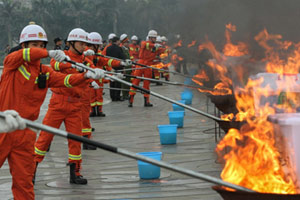 SW China forest fire extinguished