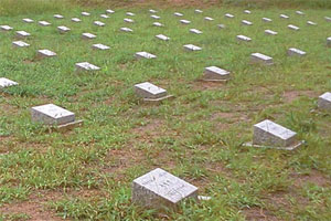 Remains of Chinese soldiers returning home