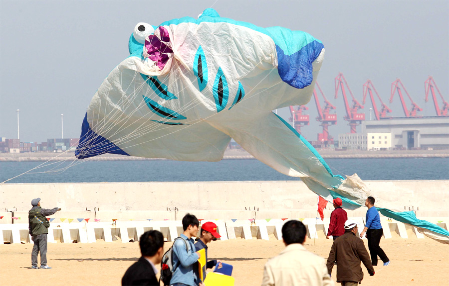 Kite-flying championship held in E China