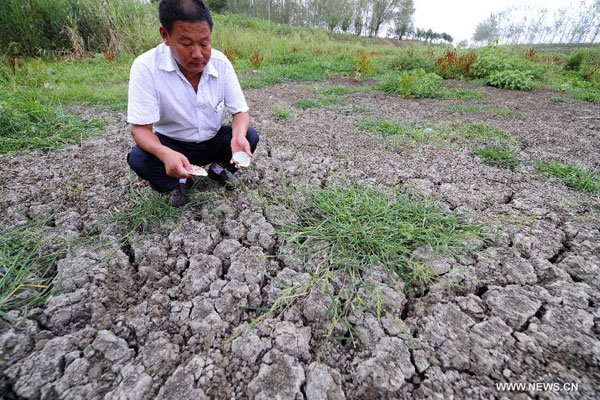 Lingering drought hits Hubei