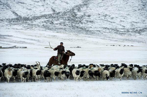 Cold front hits Xinjiang, NW China