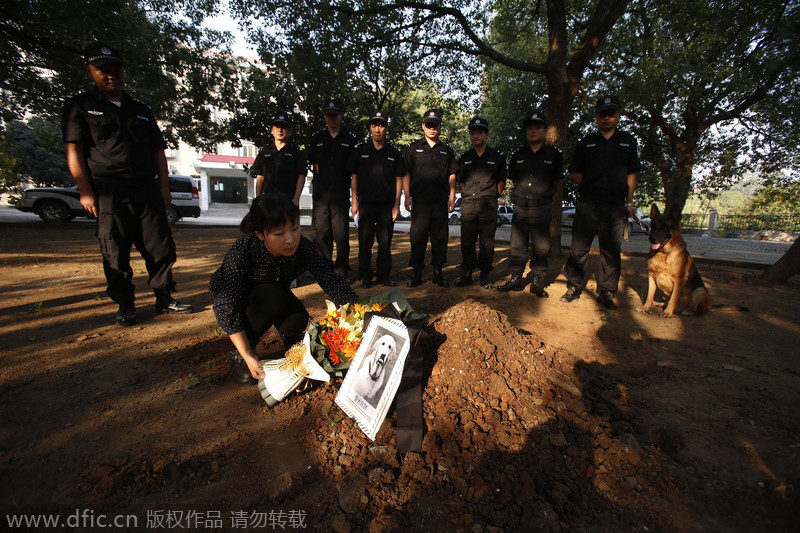 Hero police dog buried in Wuhan