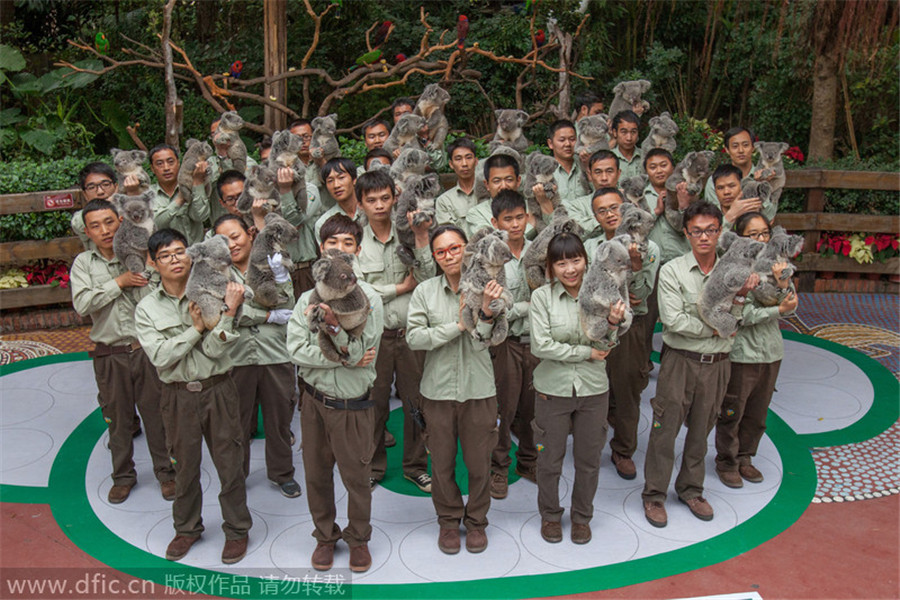 Guangzhou zoo is home to five generations of koalas