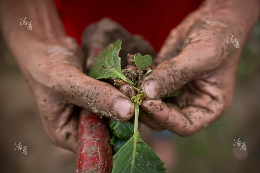 Young men farm for the future