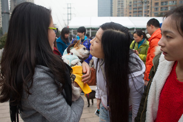 Man's best friends find new homes