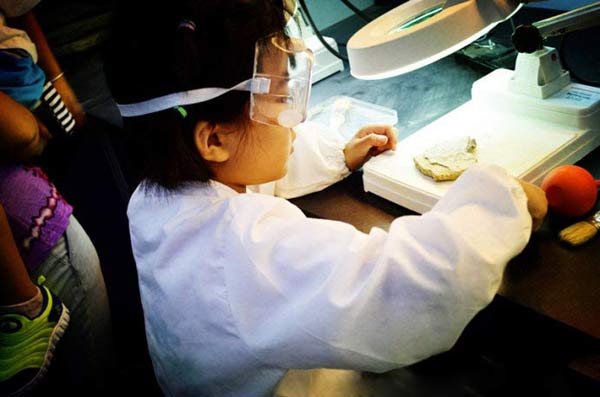 Science study trips and experiment kits gain popularity in China