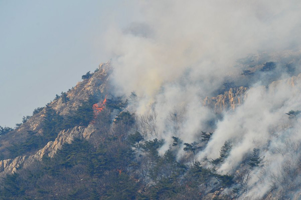 Five climbers die in Northeast China forest fire