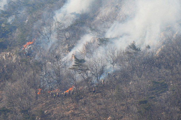 Five climbers die in Northeast China forest fire