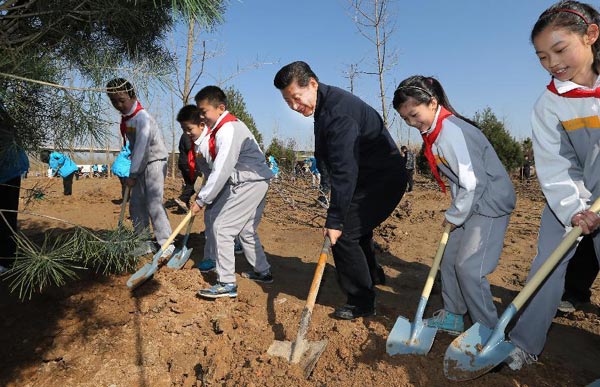 Xi plants roots of green awareness