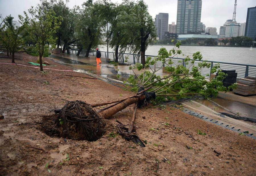 Typhoon Chan-Hom lands on E China, disrupts normal life