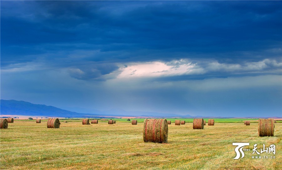 Rolls of grass: a beautiful landscape in Xinjiang