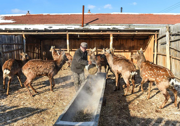 China mulls removing certain captive-bred animal populations from state protection list