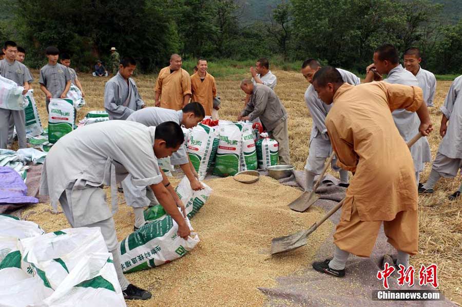 'Zen harvest' in Shaolin Temple