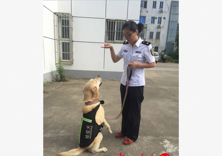 Retired quarantine dog adopted by citizen