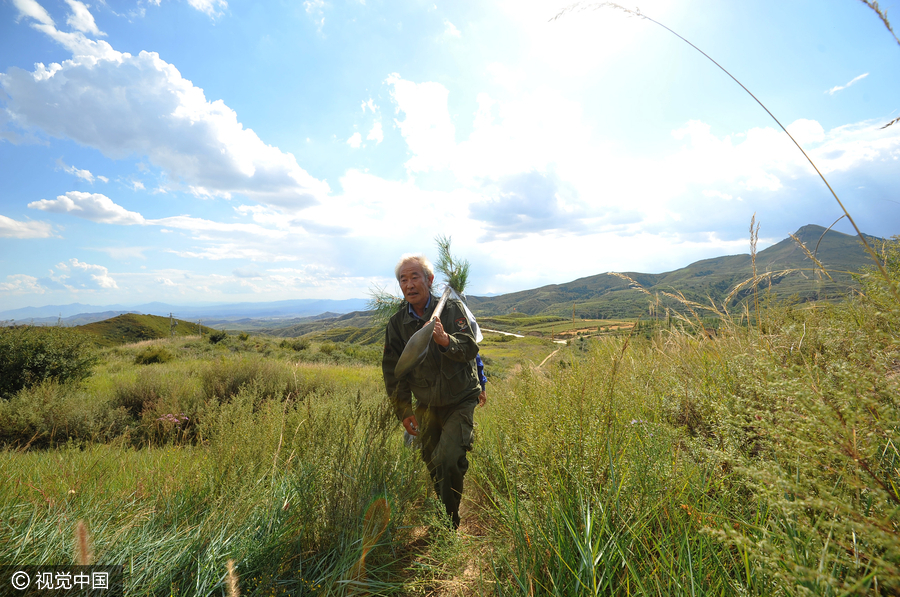 Man plants 500,000 trees over 26 years