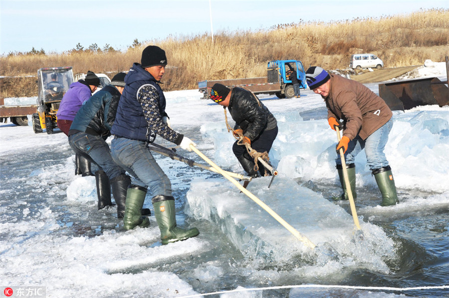 Harbin's ice movers: Tough job in chilly environment