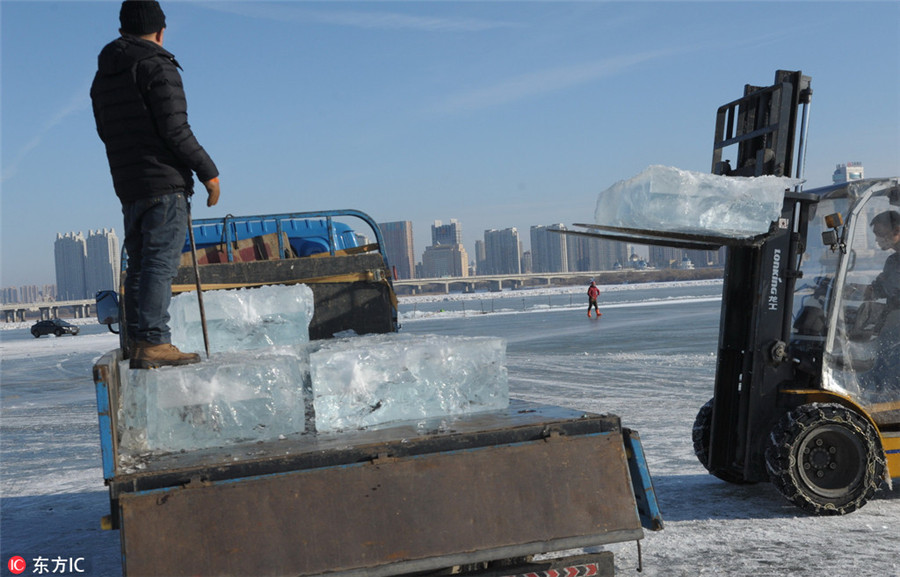 Harbin's ice movers: Tough job in chilly environment