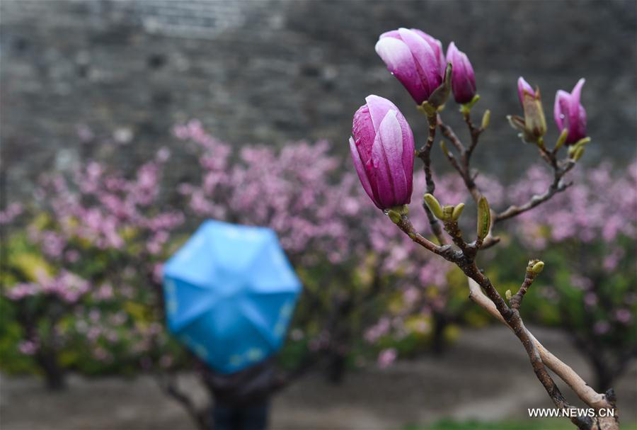 Cold front brings rainfall to Beijing