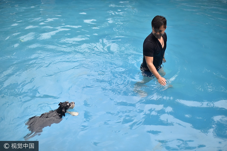 Man builds 2,000 square meters swimming pool for dogs