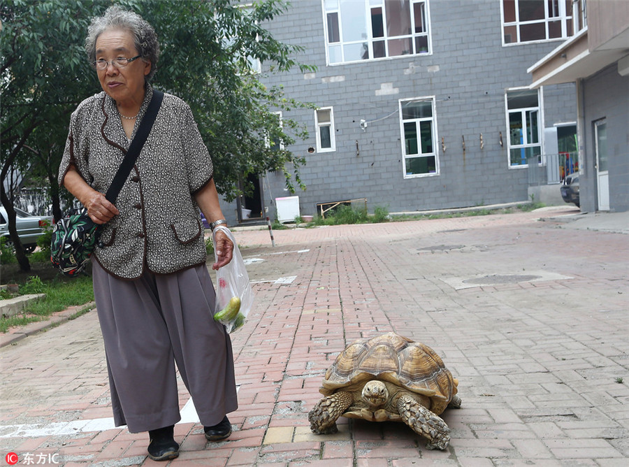 Ten photos from across China: Aug 18-24