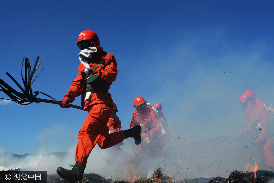 Inner Mongolia holds forest fire prevention drill