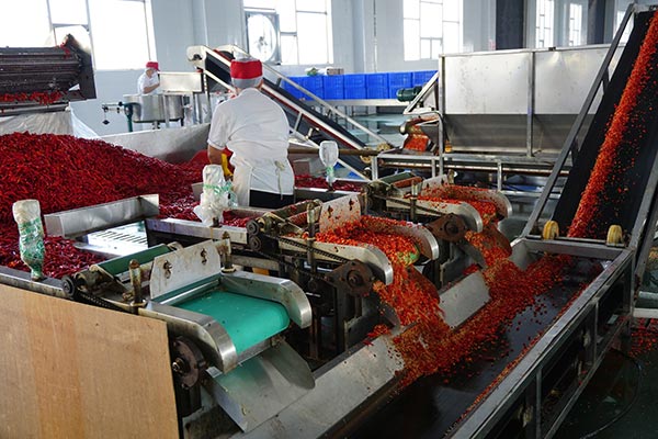 Hot pepper industry helps county out of poverty in Hunan