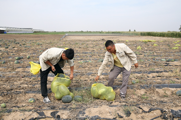 A green oasis raising incomes