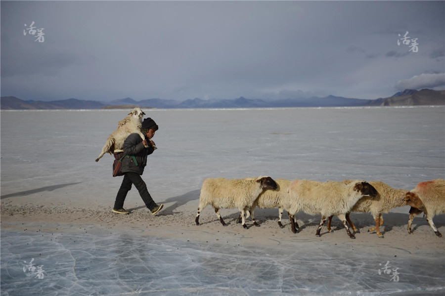 Life in Tibet's rooftop village