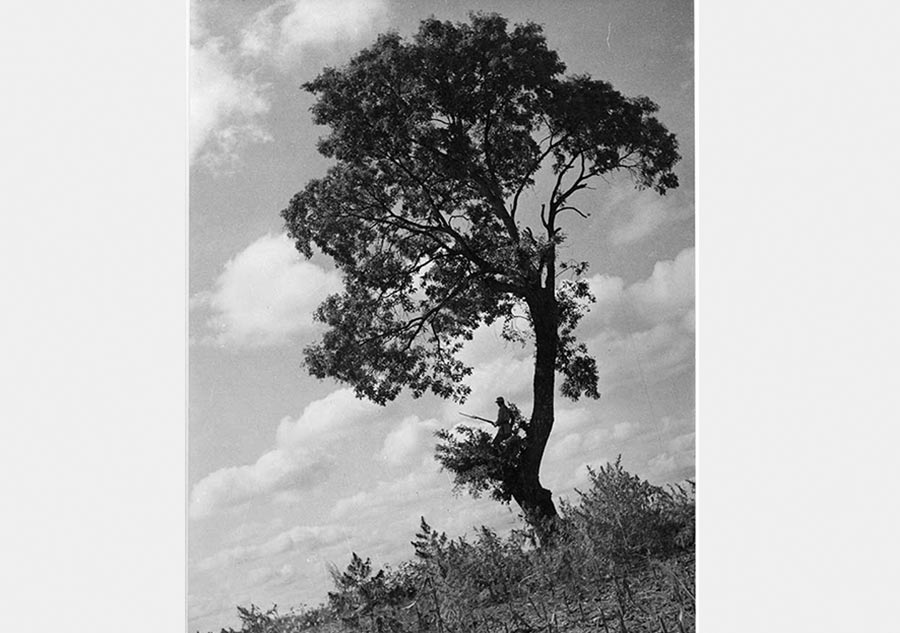 Work of legendary photographer on display in Beijing