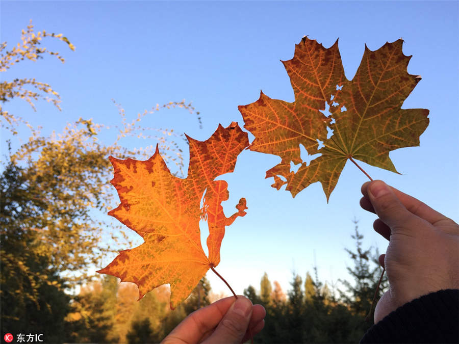 Leaf cutting art shows beauty of life