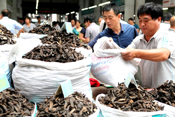 Investigation to diagnose nation's TCM resources, protect industry