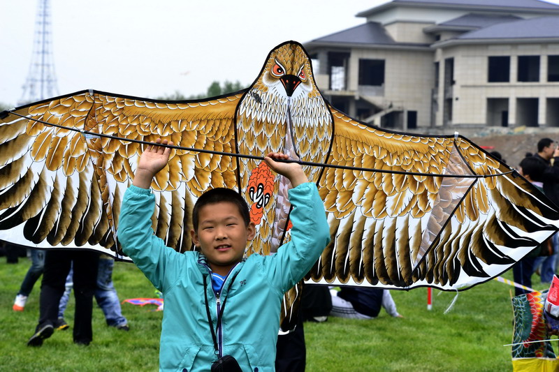 Weifang hosts annual kite festival